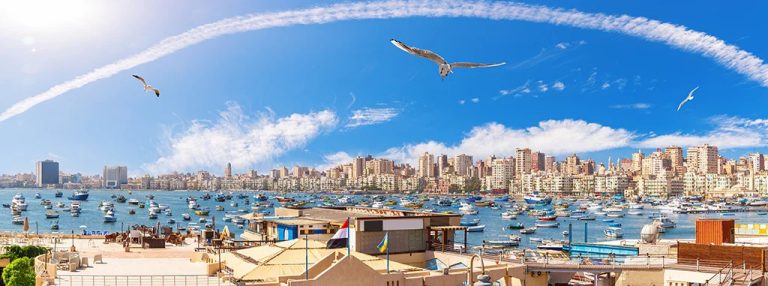 egypt bernafon elin ses medical elinsesmedical